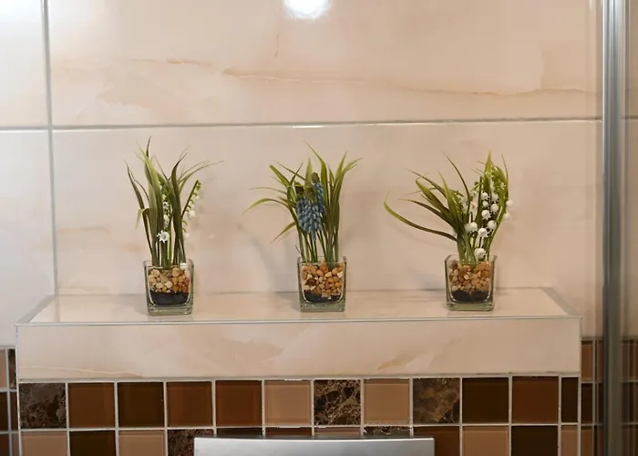 公寓 Lokica S Vrnjačka Banja