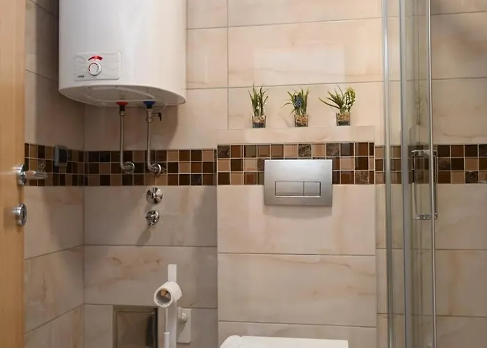 Lokica S * Vrnjačka Banja